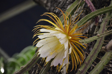 Similar image 21544794