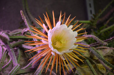 Similar image 21544796