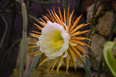 Similar image 21544797