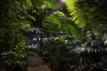 Similar image 21545108