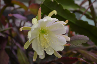 Similar image 21544799