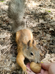 Similar image 21545112