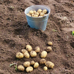 Similar image 21545229