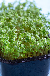 Similar image 21546856