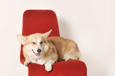 Similar image 21548803