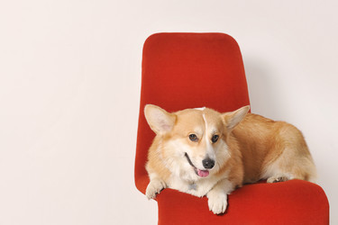 Similar image 21548805