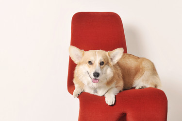 Similar image 21548806