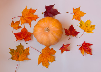 Similar image 21545235