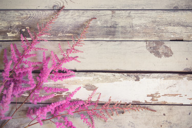 Similar image 21545244