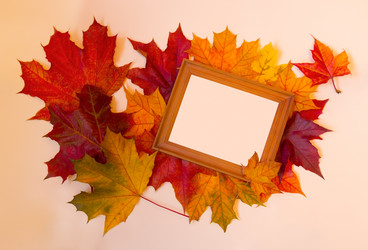 Similar image 21545249