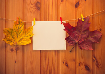 Similar image 21545263