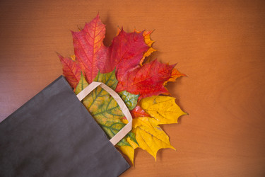 Similar image 21545277