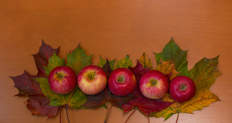 Similar image 21545294