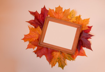 Similar image 21545298