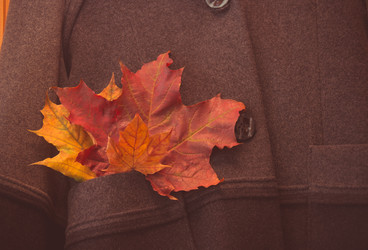 Similar image 21545301