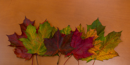 Similar image 21545315