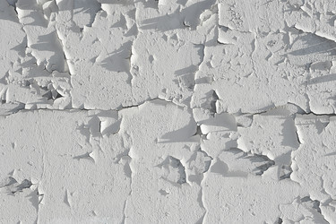 Similar image 21549017