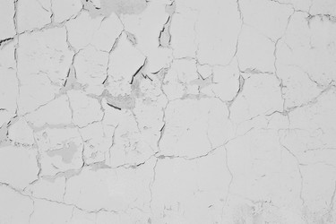 Similar image 21549018