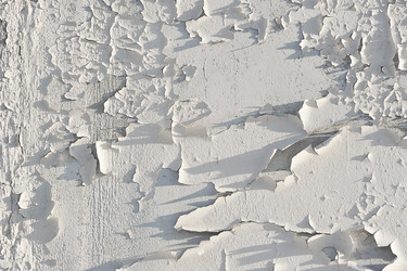 Similar image 21549020