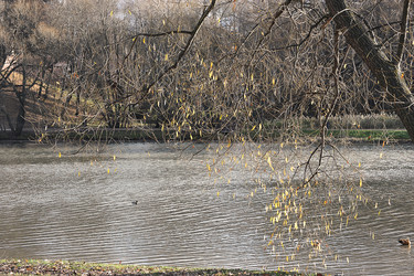 Similar image 21548746