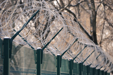 Similar image 21548749