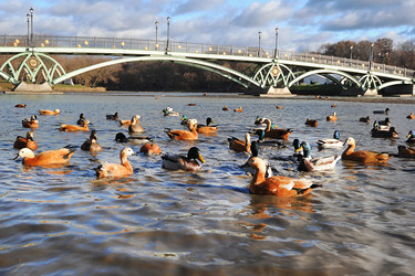 Similar image 21548810