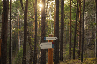 Similar image 21547914