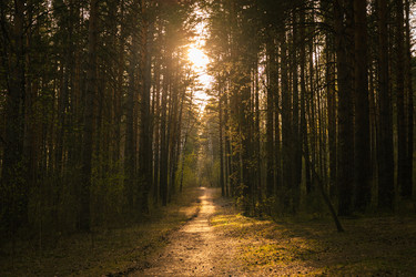 Similar image 21547915