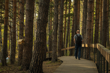 Similar image 21547916