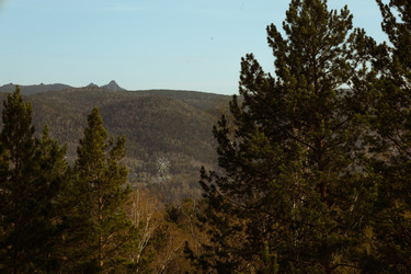 Similar image 21547921