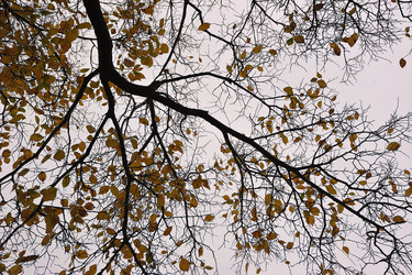 Similar image 21548811