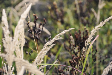 Similar image 21548813