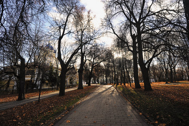 Similar image 21548815