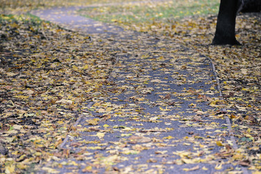 Similar image 21548821