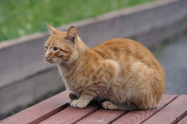 Similar image 21548825