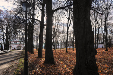 Similar image 21548826