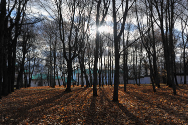 Similar image 21548827