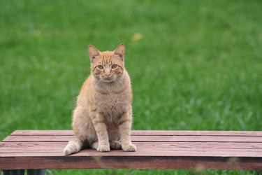 Similar image 21549023