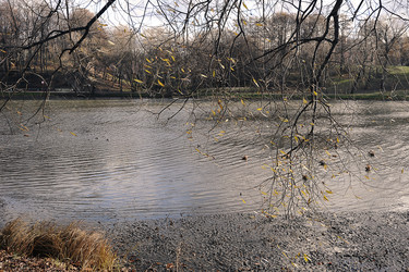 Similar image 21549027