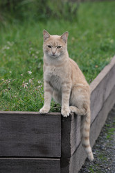 Similar image 21549028