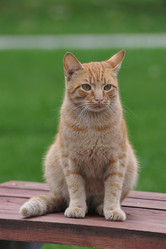 Similar image 21549030