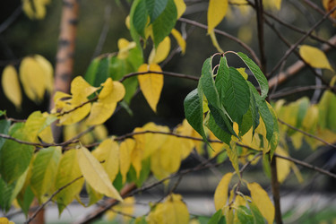 Similar image 21549041