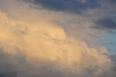 Similar image 21549043