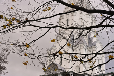 Similar image 21549047