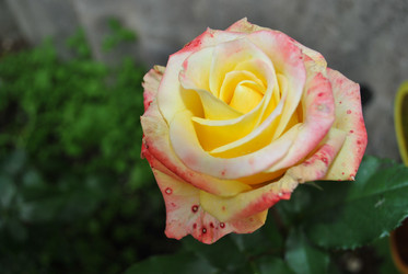 Similar image 21545983