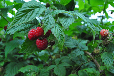 Similar image 21545984