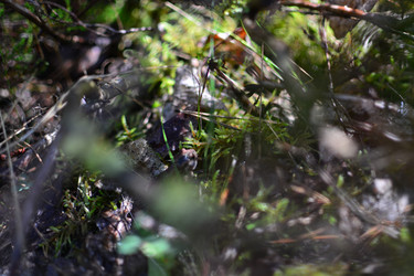 Similar image 21545987