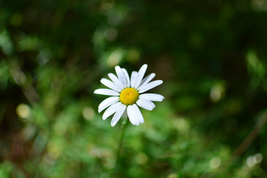 Similar image 21545988