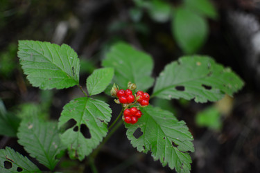 Similar image 21545990