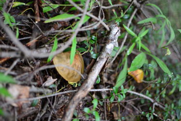 Similar image 21545991